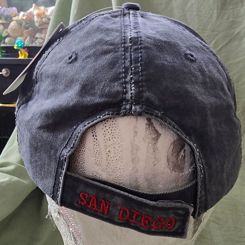 SAN DIEGO CALIFORNIA dark grey blue jeans
