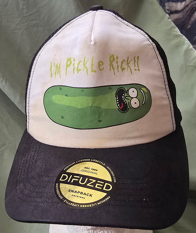 I M PICKLE RICK!!!