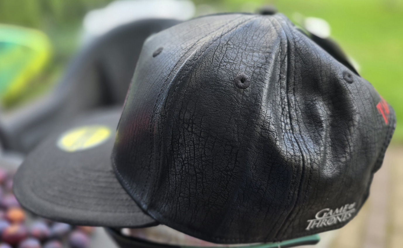 DIFUZED Games of Thrones: House of the Dragon Novelty Cap