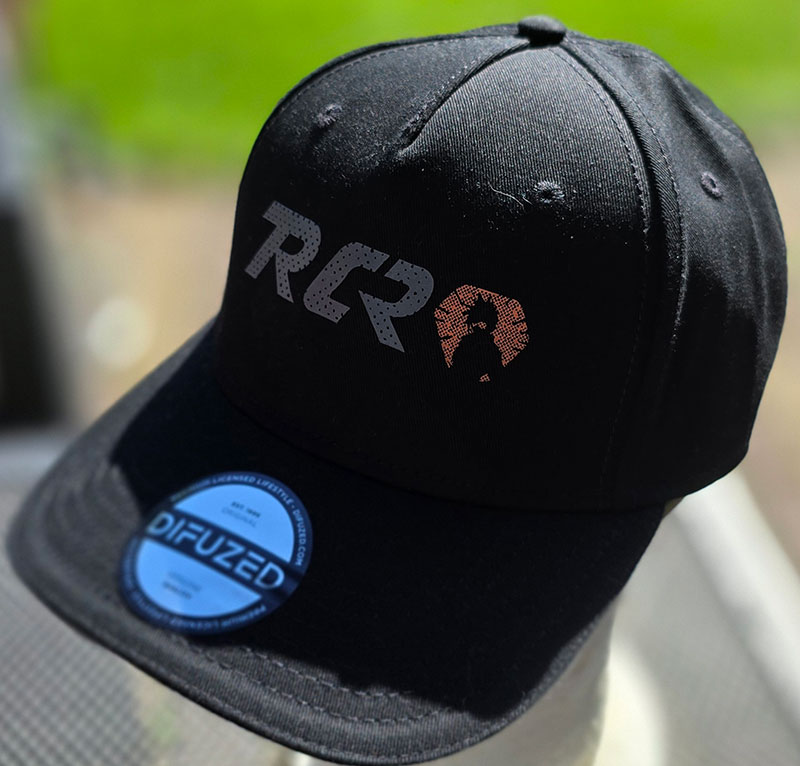 Difuzed Overwatch 2 Adjustable Cap Blizzard black