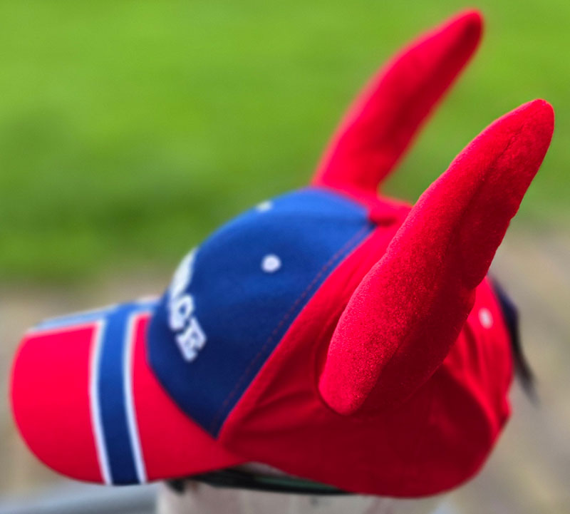 Flaaroning NORWAY red blue 