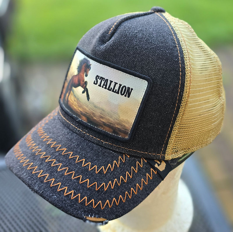 GOORIN STALLION
