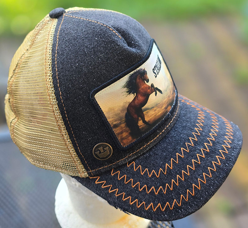 GOORIN STALLION