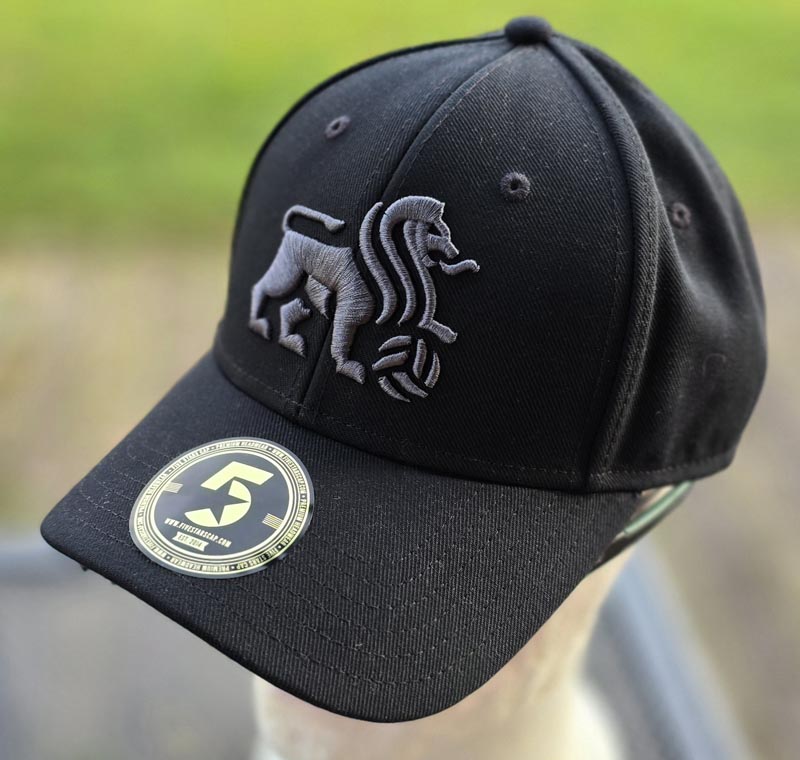RFS CURVE CAP black