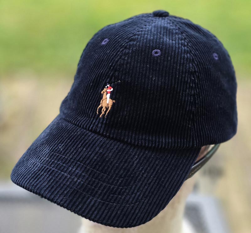 POLO Ralph Lauren navy velvet
