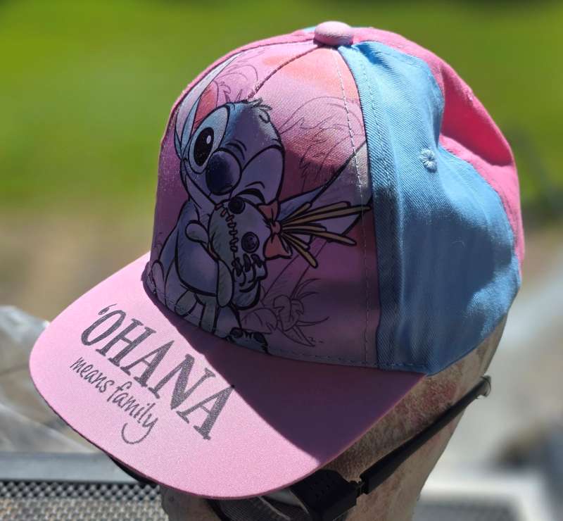 OHANA means family pink blue